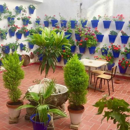 Apartamento Toril-Casco Historico Córdoba Eksteriør bilde