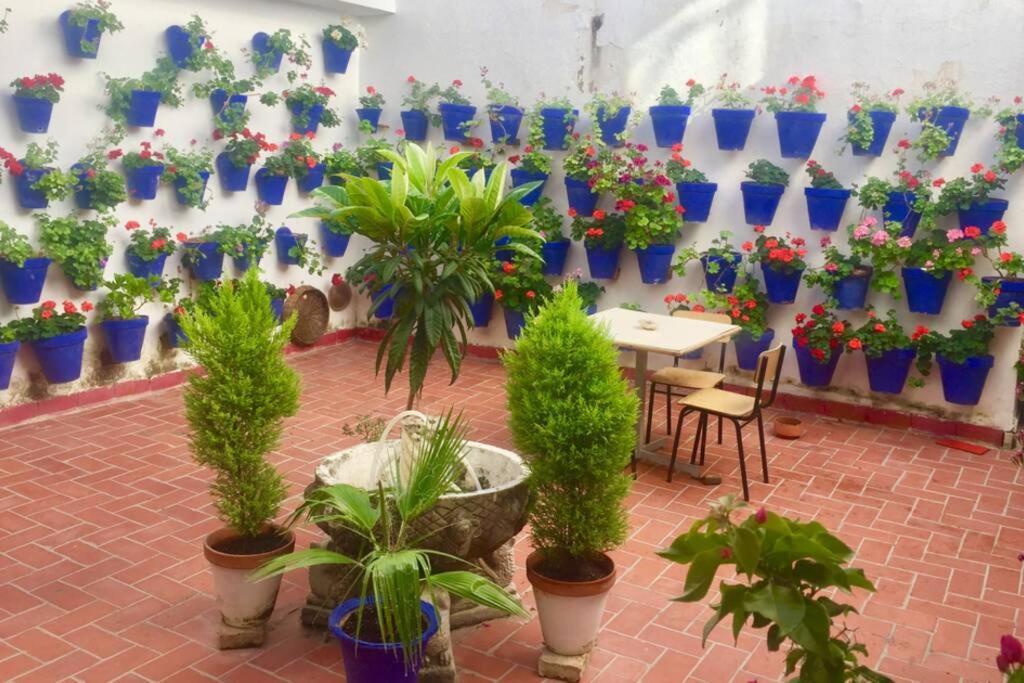 Apartamento Toril-Casco Historico Córdoba Eksteriør bilde