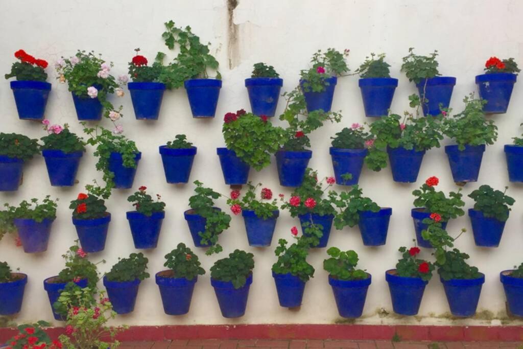 Apartamento Toril-Casco Historico Córdoba Eksteriør bilde
